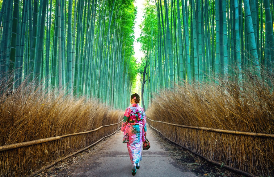 3 Hutan Bambu Di Indonesia Ini Instagrammable Banget Loh!